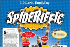 Spideriffic