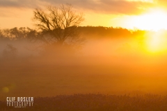 33025712573_e1730cdc79_o