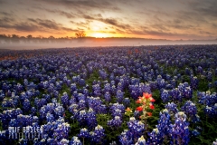 33683212192_1a34e639e0_o