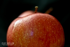 4139319848_4a3792d4f0_o