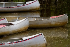 4488186431_f78b888790_o