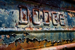 6832205924_878a864724_o